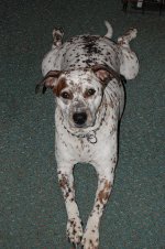 DSC_1109.JPG
