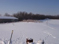 snow.jpg