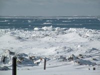 Ice Berg.jpg