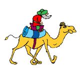 camel 1.gif