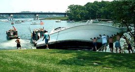 searay golfer.jpg