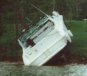 searay golfer2.jpg