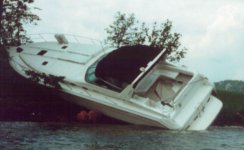 searay golfer3.jpg