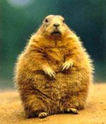 ground-hog-day.jpg