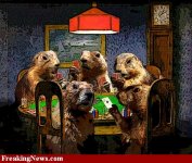 Poker--26638.jpg