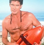david%20hasselhoff%20divorce%20domestic%20violence%20pamela%20bach.jpg