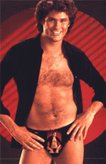 hasselhoff2ol.gif