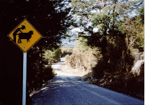 Stecz_road_sign.gif