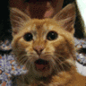 avatar3.gif