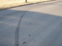 oil slick off road.JPG