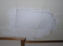 ceiling.jpg