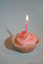 Pink_Cupcake_With_Candle_HA8V7519.jpg