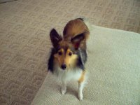 buddy_(2).jpg