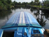 BLUE BAYOU IMG_2875.jpg