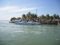 2008_1230Miamiboatshow20090039.jpg