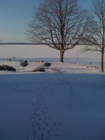 IMG_0144.jpg