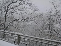 IMG_1157.JPG