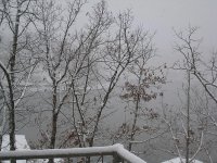 IMG_1158.JPG