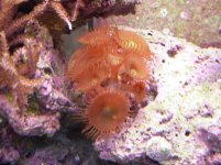 DSCN2763.jpg