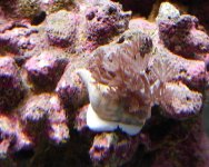 DSCN2770.JPG