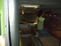 3 010 09 005 (Small).jpg