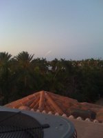 IMG_0231.jpg