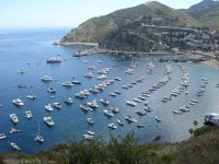 catalina1.jpg