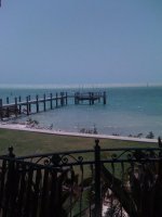 IMG_0317.jpg