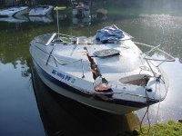 boat prop.jpg