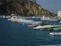 catalina3.jpg