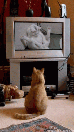 bobcat porn.gif