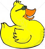 duck2.jpg