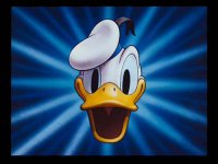 DonaldDuck-face.jpg