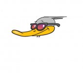 DuckShades.jpg