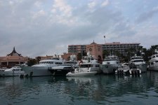 aIMG_0719.jpg