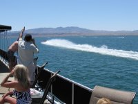 IMG_0156.jpg
