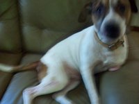 000_0027.jpg