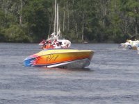 tickfaw200 042.jpg