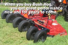 bush1.jpg