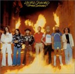 lynyrd_street.jpg