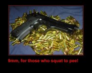NRA2.JPG