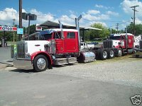 359 crewcab-2.jpg