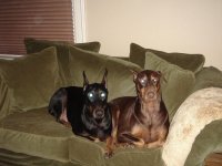 Jenn's pictures 180.jpg