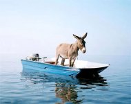 Boat.jpg