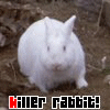 killer bunny.gif
