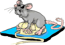 rats_mice-sex.gif