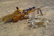 FOXY.JPG
