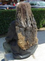 hair.jpg