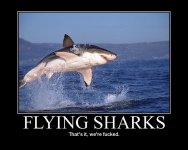 sharkfly.jpg