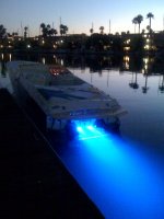 Lights.JPG